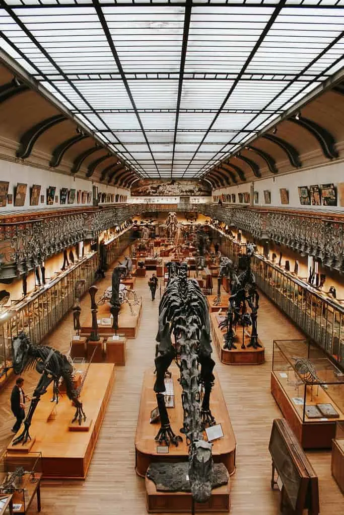 Paris Photos - Paleontology and comparative Anatomy Gallery