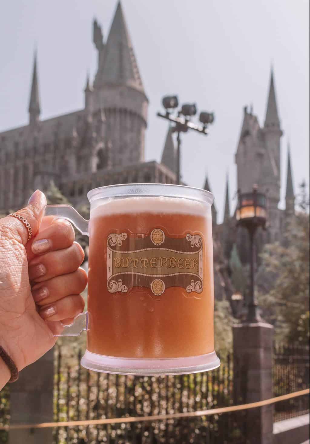 20 Magical Things to Do at the Wizarding World of Harry Potter #whatshotblog