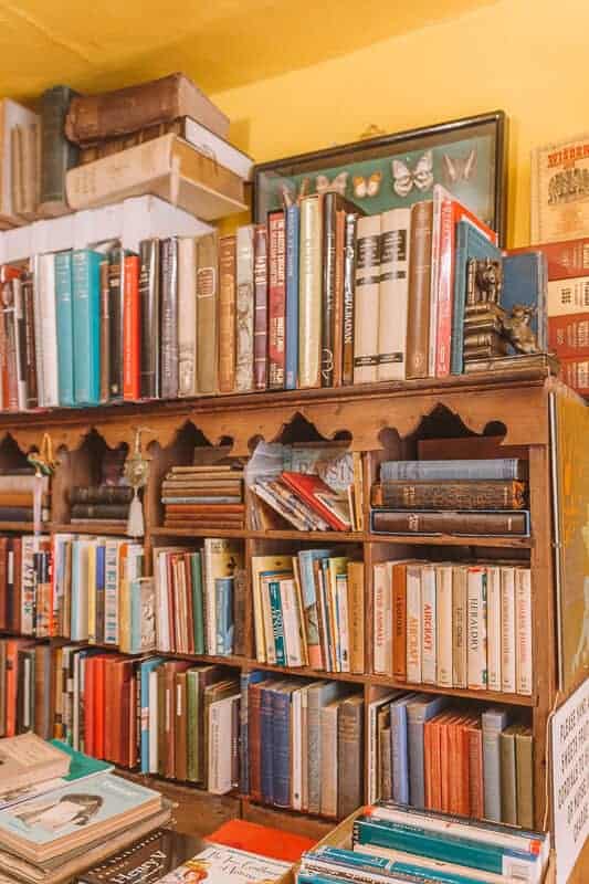 The Tiny Bookstore, Rye