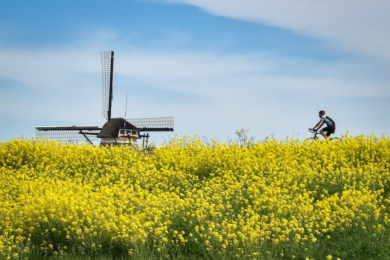 Cycling in Bollenstreek Holland, a hidden gem in Europe