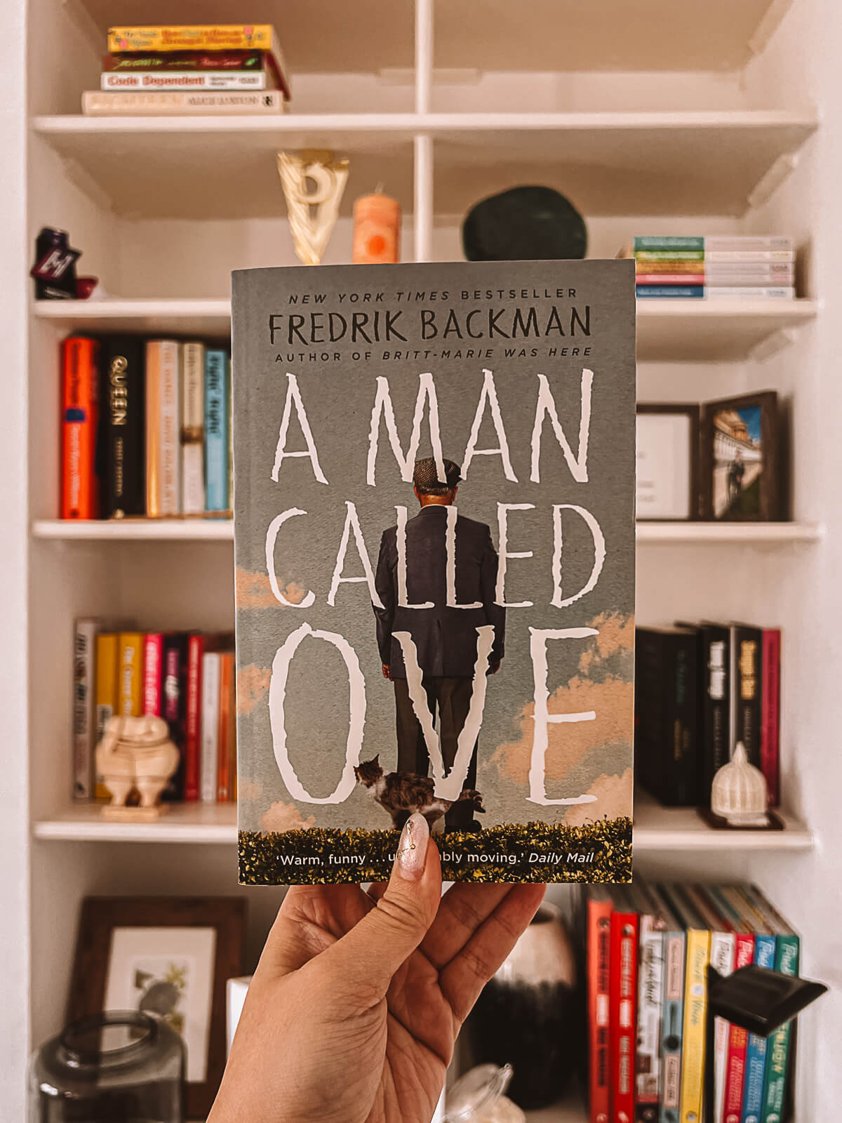 A Man Called Ove Book Club Discussion Questions
