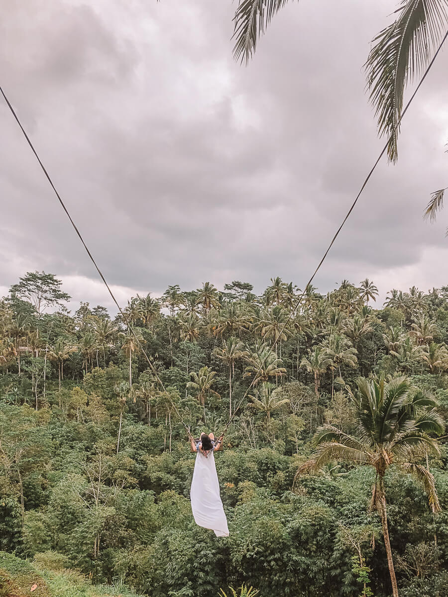 Coffee Plantation Tour Swing