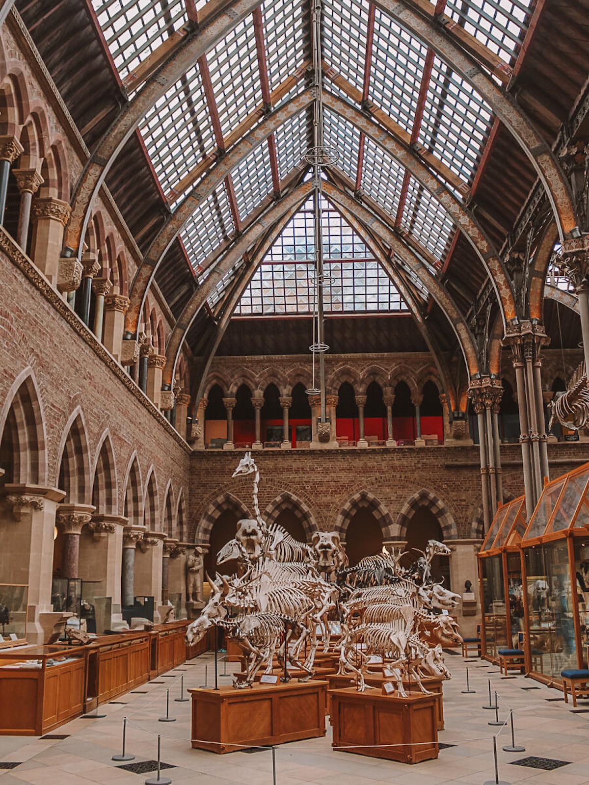 Oxford University Museum of Natural History